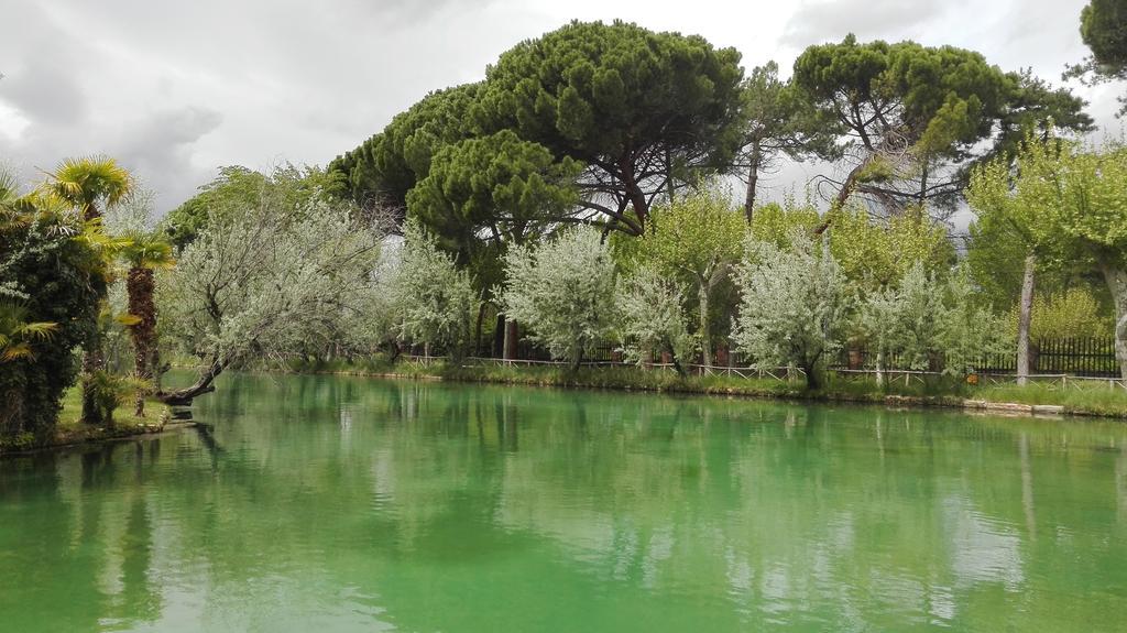 Hotel Parque Balneario Termas Pallares Alhama de Aragón エクステリア 写真
